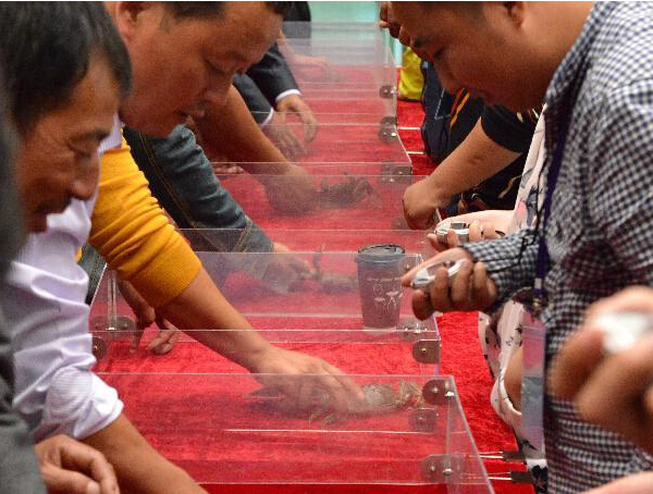 �з������ Ȥζ����ƴ��