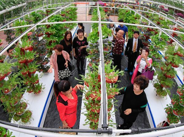 ũҵ����԰���������ˡ�