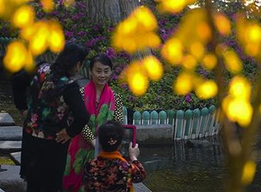 ��³ľ���������ʱ�� ��԰�ڽ��һƬ��