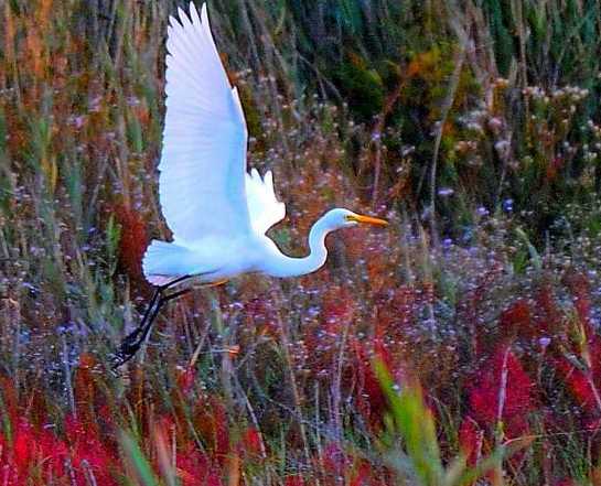 ��򱱴��ʪ��ӭ����Ǩ����