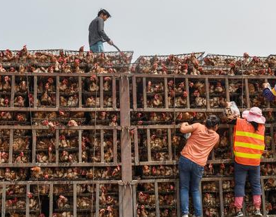 ������ˮ������� ��๤���ϻ����񼦵���