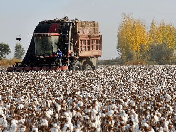 �½�������������޻�������ռ���