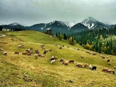 �������������ᡱ