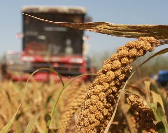 ʮ������æ ���ڹ���ϲ����ա�