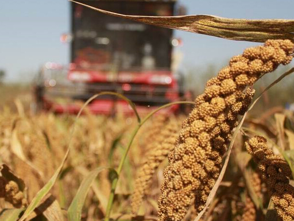 ʮ������æ ���ڹ���ϲ����ա�