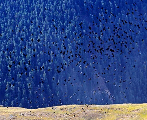 ������ףȺ����賡��׳�ۡ�