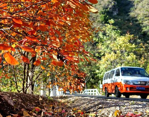 ��ɽ�����Ũ��