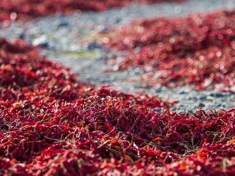 �½�����·�Ը��̲��������ɹ����