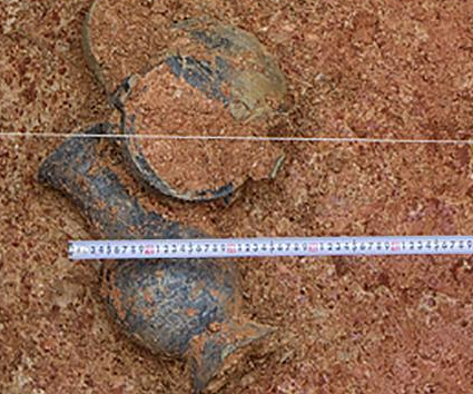 ��ɳ��ĹȺ����ս�����ڡ���ʳ�����ס���