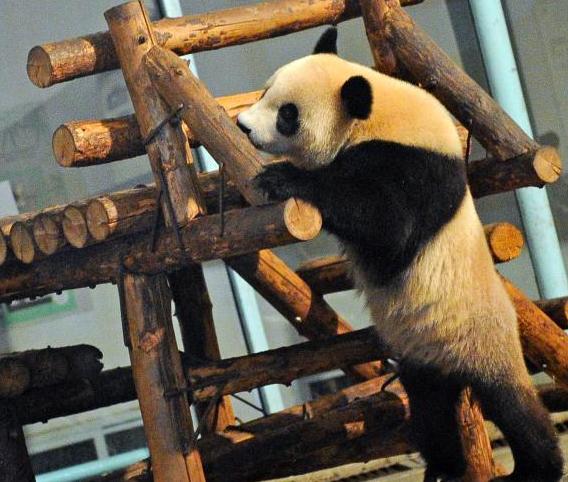 �ȱ�����è��ϲ�֡���ס�����԰��