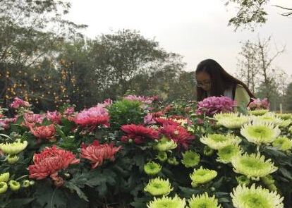 10����ջ��������ݰͳ����ࡰ���ޡ���