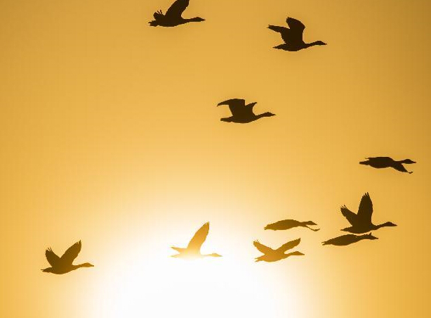 �輯۶����