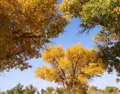 �½���ں������컡�