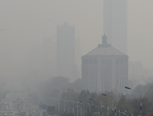 ɽ����������ɫԤ����