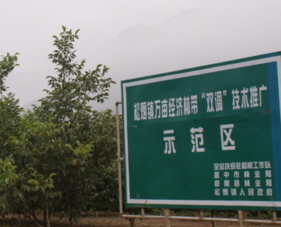 ��չ��ҵ��ƶ  ������ƶ�¸���������