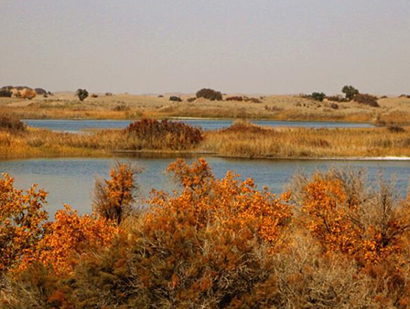 �½����������ɳĮ�ֺ��� ˮɳ����������ޡ�