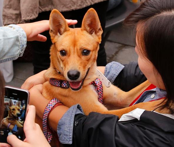 �������г��������� ��������ذ�����è����