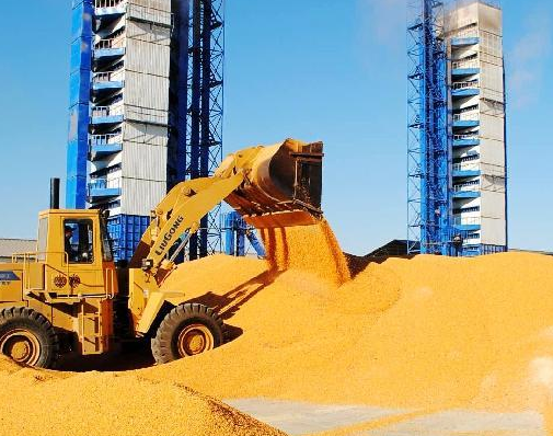 ���������������������æ��