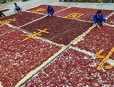 ������ʤɹ��������ӭ���족