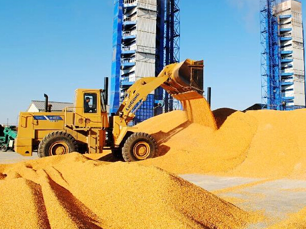 ���������������������æ��