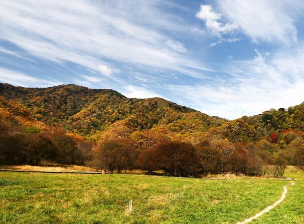 ������ũ�ܴ�ź�ʪ����ɫ���续��