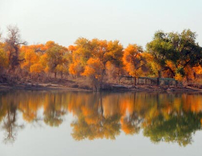 ����ʮ���½��⳵������������ɫ����