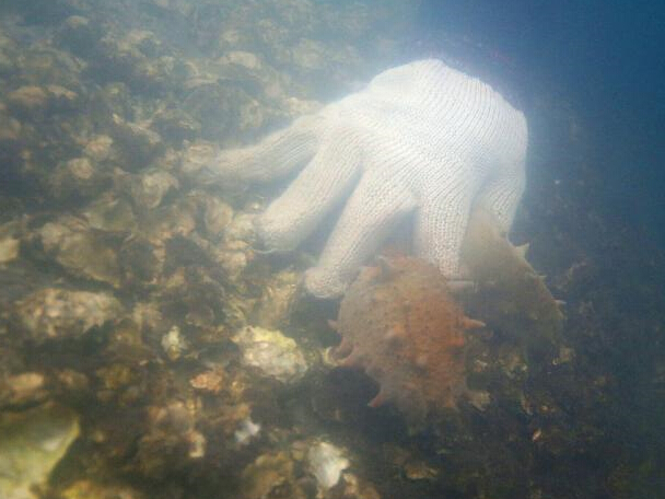 ����¹���������ɴ̲η��ռ���