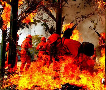 ����ɭ������ѵ�� �������桱