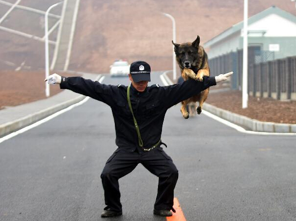 �����й����־�Ȯѵ������Ͷ��ʹ�á�