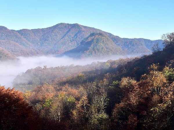 ��ũ�ܴ�ź���ɫ��