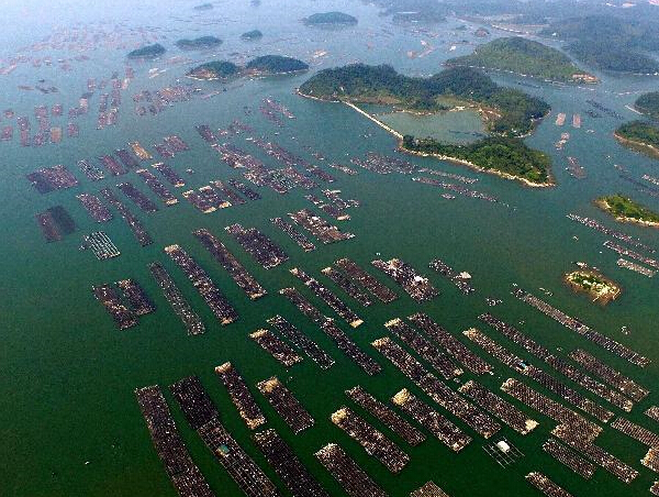 ���Ĵ��֮�硰������԰������ʮ����š�