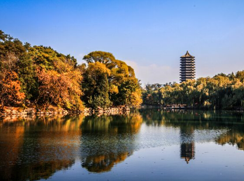 ������ѧӭ������Ũ��