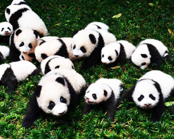 ������è������������ �����ա�