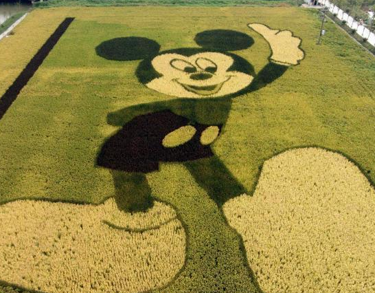 �Ϻ���ʿ���ܱߵ����־��͡����桱��