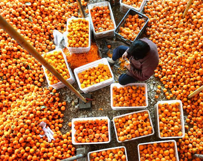 ɽ����Դ������Ⱦ���