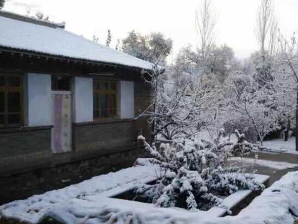 ����Ʈ����ѩ �����װ�ع���