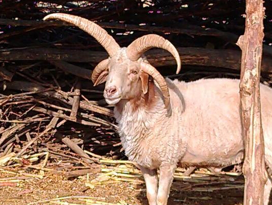 ������Ҵһũ�������֡��Ľ����򡱡�