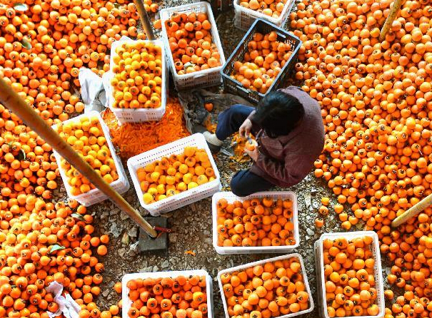 ɽ����Դ������Ⱦ���