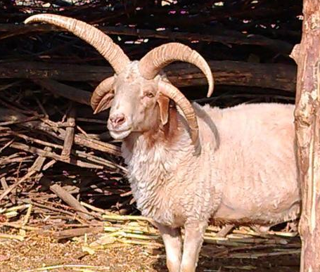 ������Ҵһũ�������֡��Ľ����򡱡�