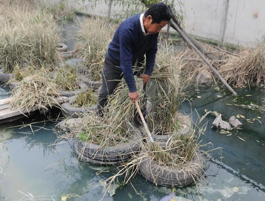 ������ϡ������ˮ�ֵ����ƻ�����