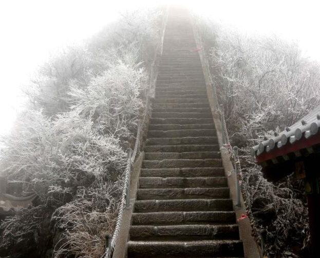 �����Ͼ�ɽӭ�������׳�ѩ��