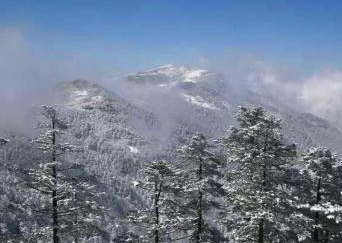 �������ݼ�����ũ��ӭ�׳���ѩ��