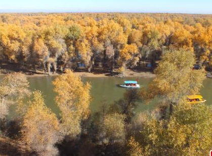 �½�����Ķ������������ɫ��