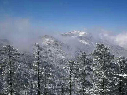 �������ݼ�����ũ��ӭ�׳���ѩ��