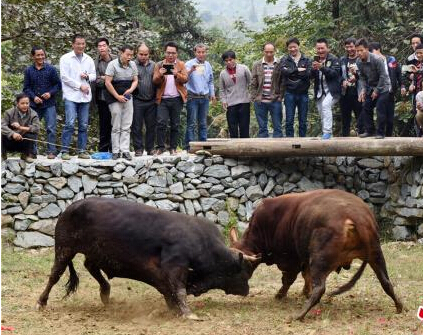 �����������ݡ��й�ʽ��ţ������ա�