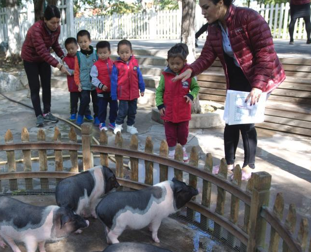 ����һĳ�׶�԰������԰ ��ֳ50���ֶ��