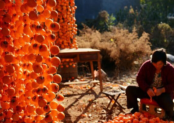 ɽ���������ӹ���