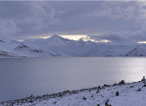 ���������װ�ع�ӭ������