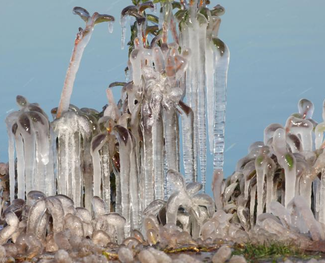 ������Ҵ�����½� ��ľֲ���γɱ��ҡ�