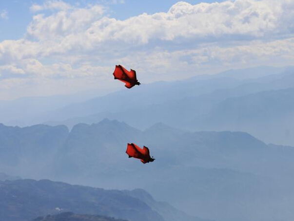 ��װ���С����籭�����Ͽ��� 40������һ�����ۡ�